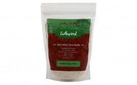 Earthspired Southern Spice Flour   Pack  500 grams